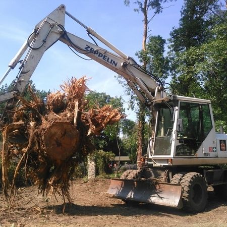 Ein weißer Bagger transportiert die große Wurzel eines Baumes