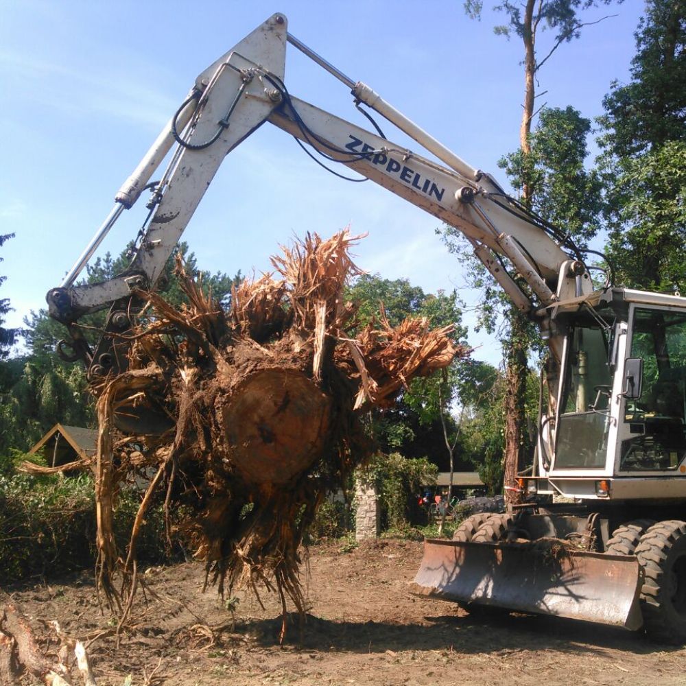 Abrissarbeiten von Dirk Wachs Energieholz